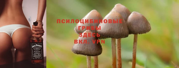 не бодяженный Алексин